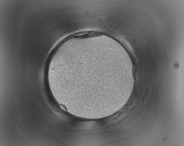 X0000116610108201001081219