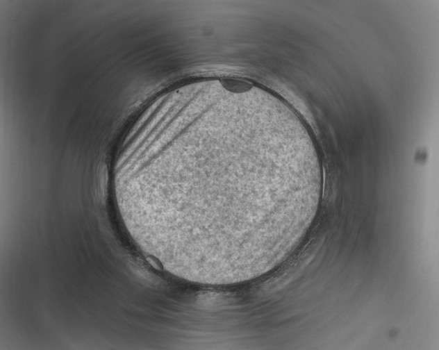 X0000116610109201001081219