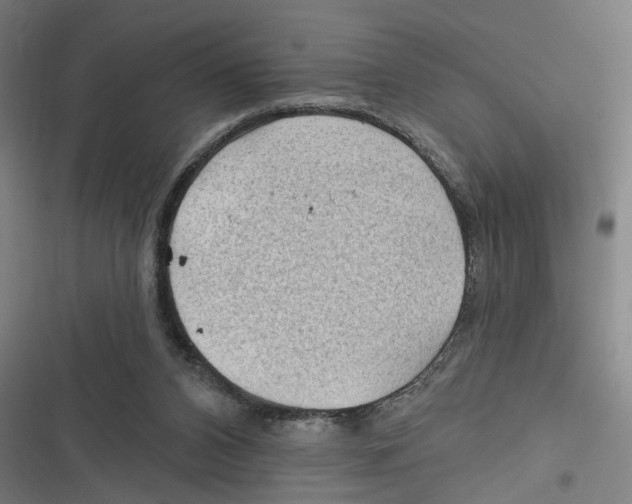 X0000116610112201001081219