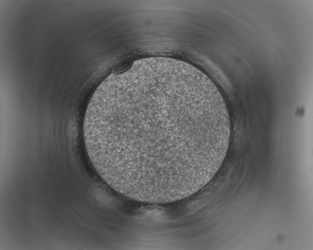 X0000116610113201001081219