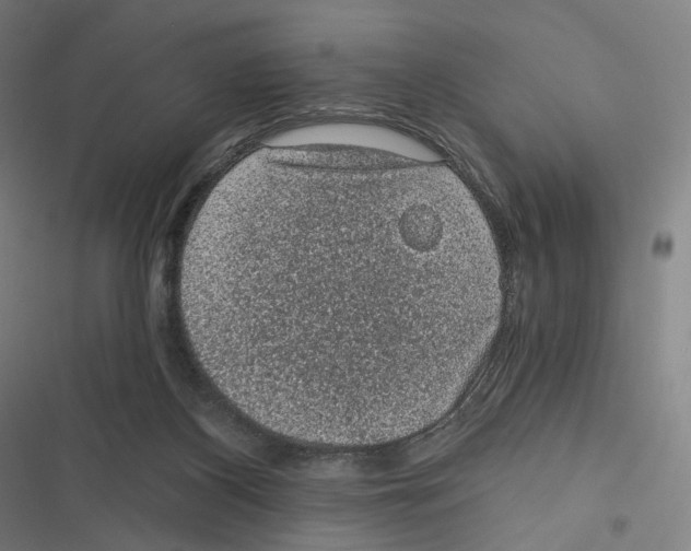 X0000116610116201001081219