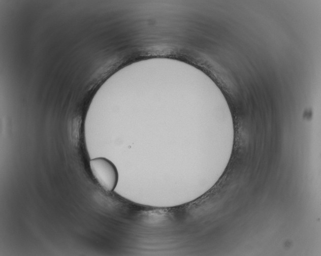 X0000116610118201001081219