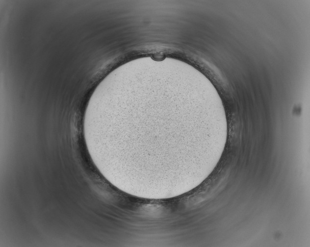 X0000116610119201001081219