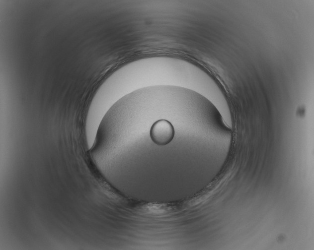 X0000116610121201001081219