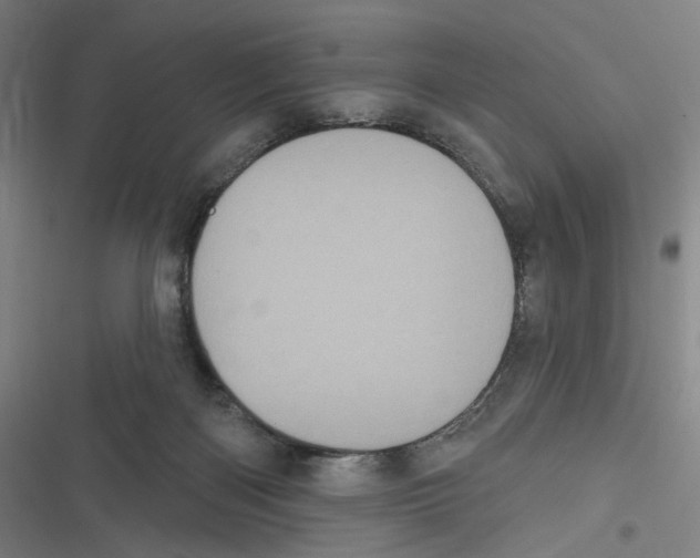 X0000116610122201001081219