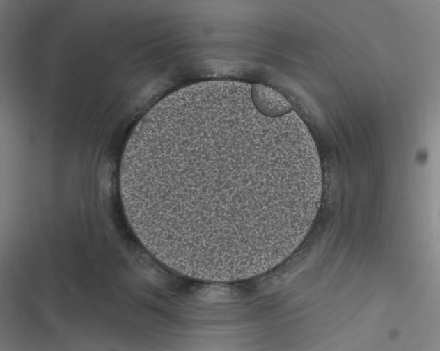 X0000116610123201001081219