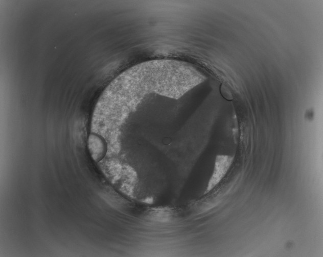 X0000116610127201001081219