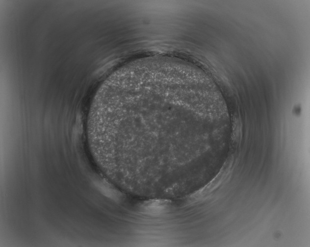 X0000116610128201001081219