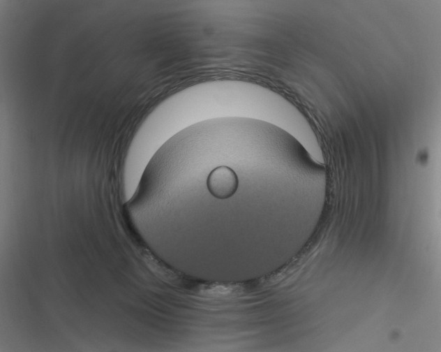 X0000116610129201001081219