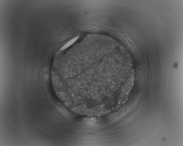 X0000116610131201001081219