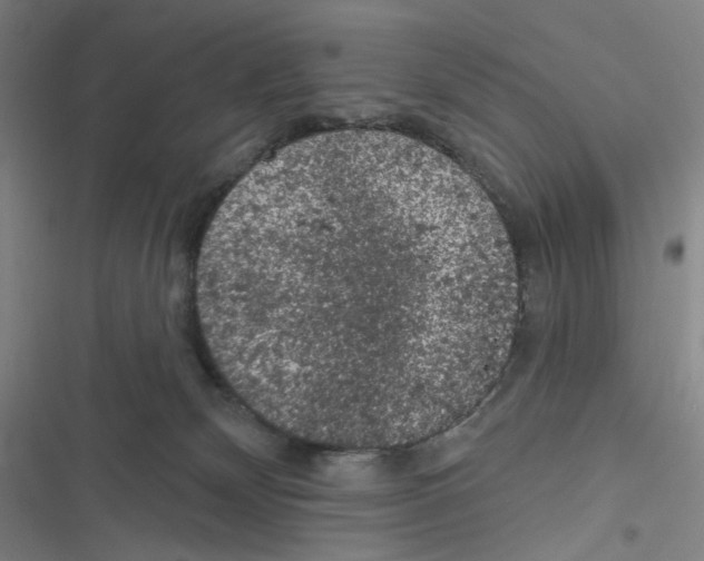 X0000116610132201001081219