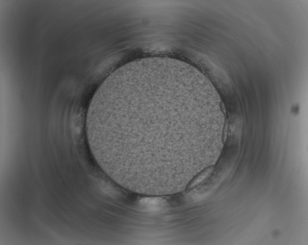 X0000116610133201001081219