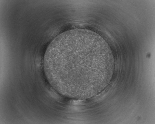 X0000116610134201001081219