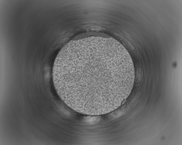 X0000116610135201001081219