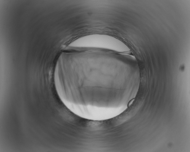 X0000116610139201001081218