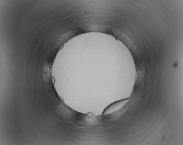 X0000116610142201001081218