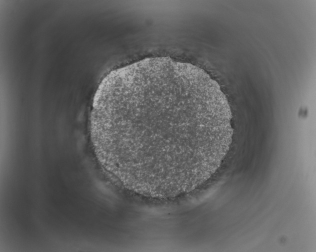 X0000116610144201001081218