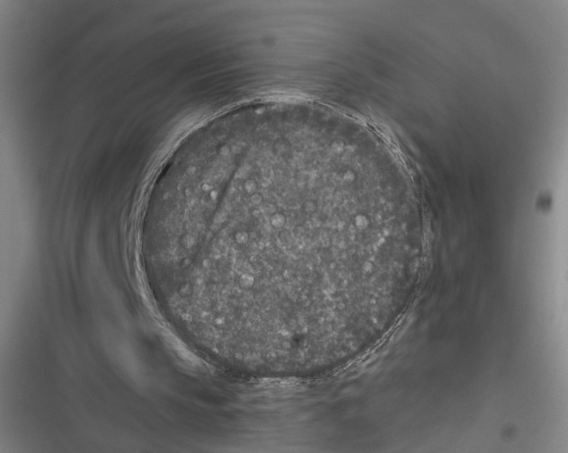 X0000116610145201001081218