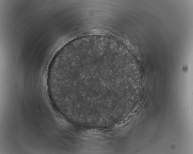 X0000116610146201001081218