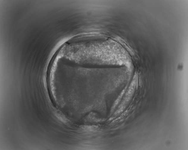 X0000116610147201001081218