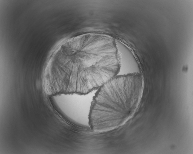 X0000116610149201001081218