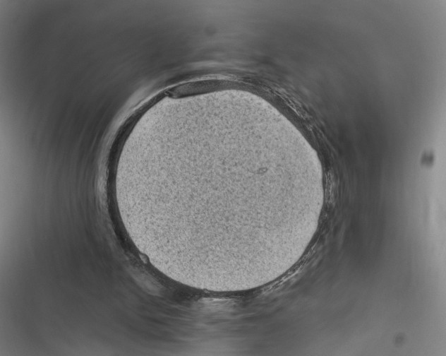 X0000116610150201001081218