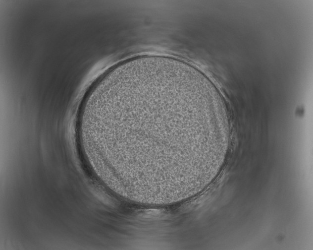 X0000116610151201001081218