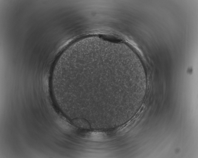 X0000116610154201001081218