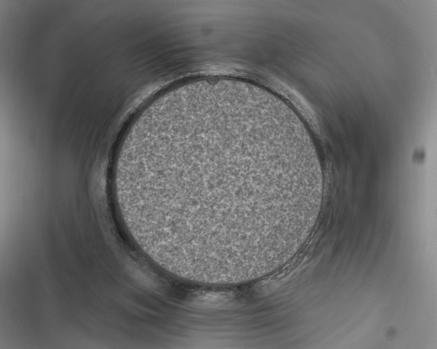 X0000116610155201001081218