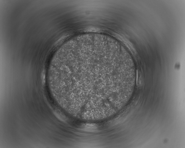 X0000116610157201001081218