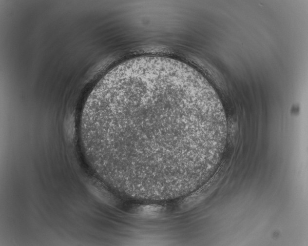 X0000116610158201001081218