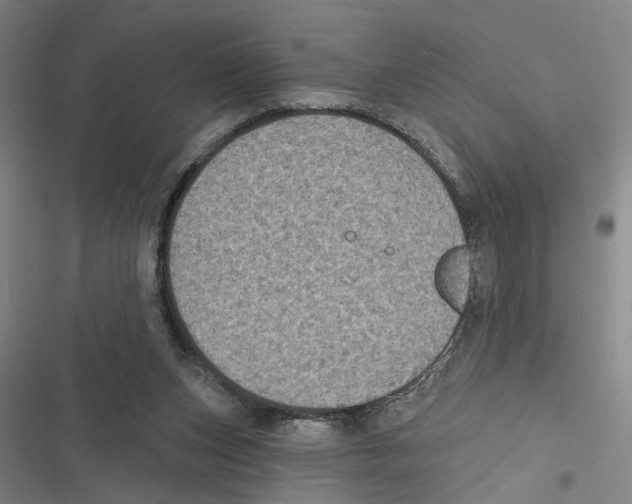 X0000116610159201001081218