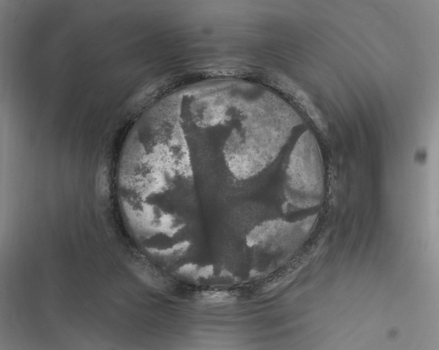 X0000116610161201001081218