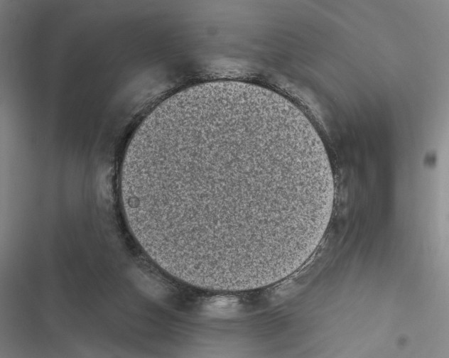 X0000116610162201001081218