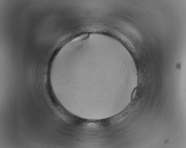 X0000116610163201001081218