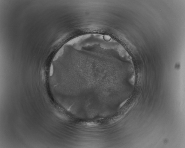 X0000116610165201001081218