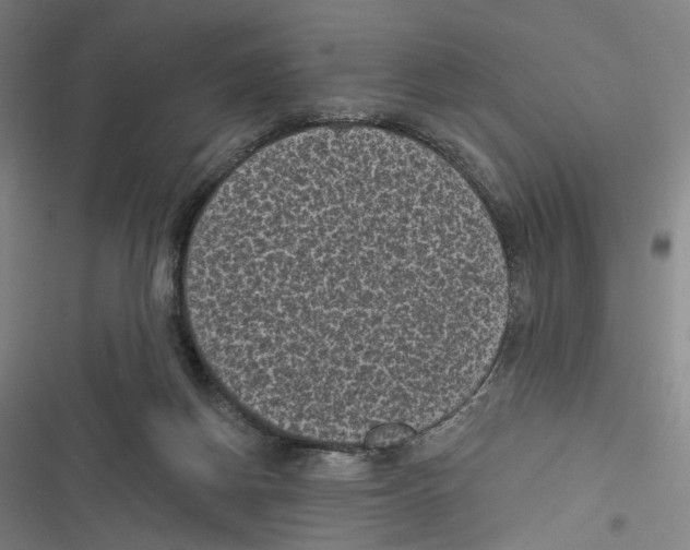 X0000116610166201001081218