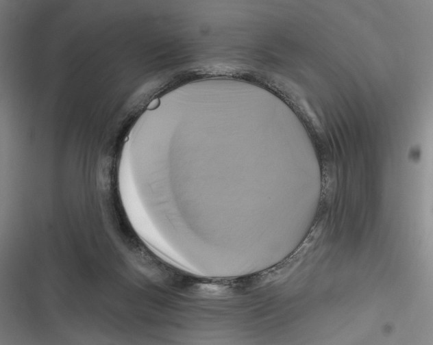 X0000116610167201001081218