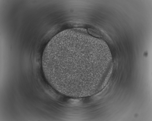 X0000116610170201001081218