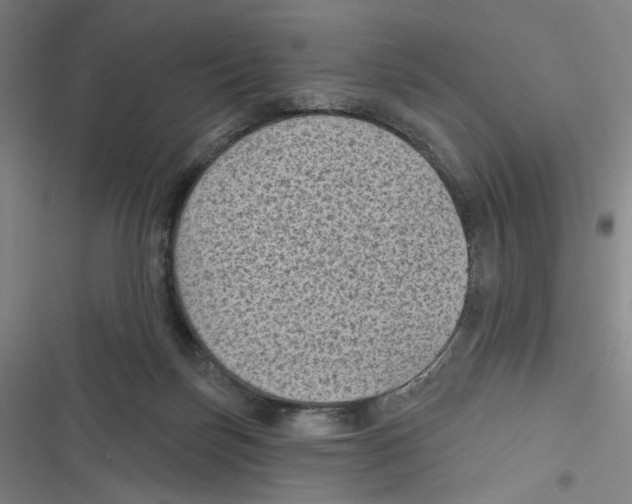 X0000116610171201001081218