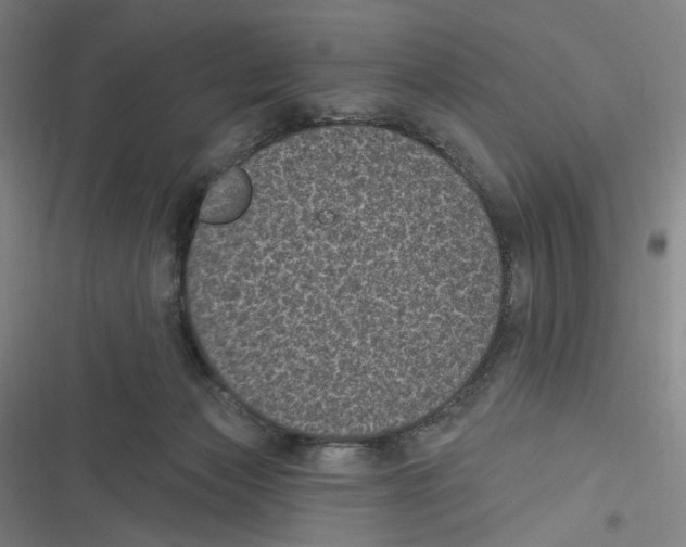 X0000116610173201001081218