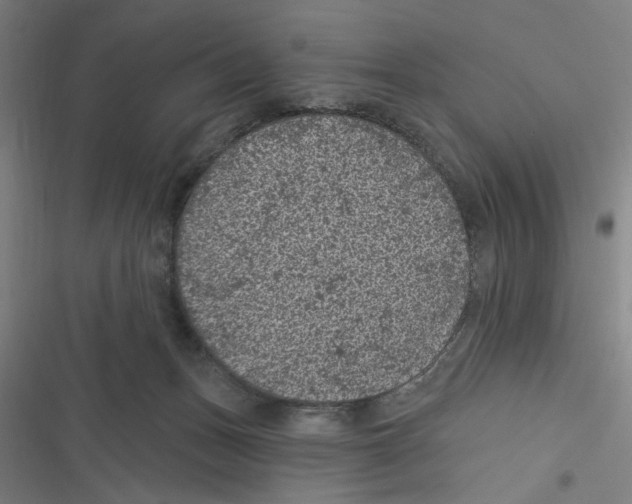 X0000116610175201001081218