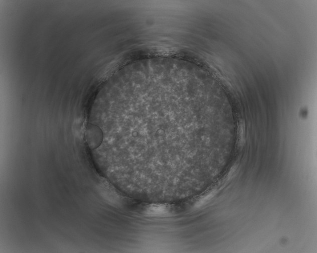 X0000116610177201001081218