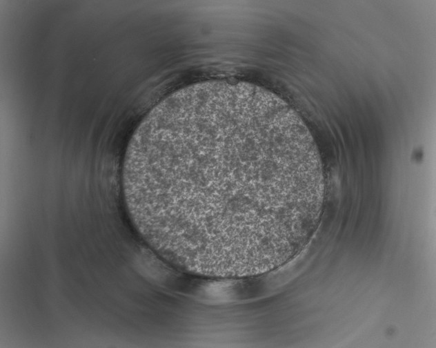 X0000116610178201001081218