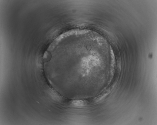 X0000116610181201001081218