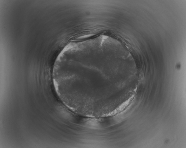 X0000116610182201001081218