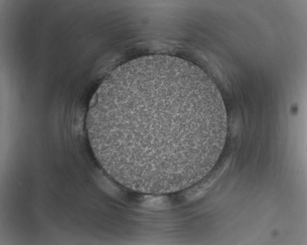 X0000116610185201001081218