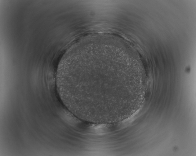 X0000116610186201001081218