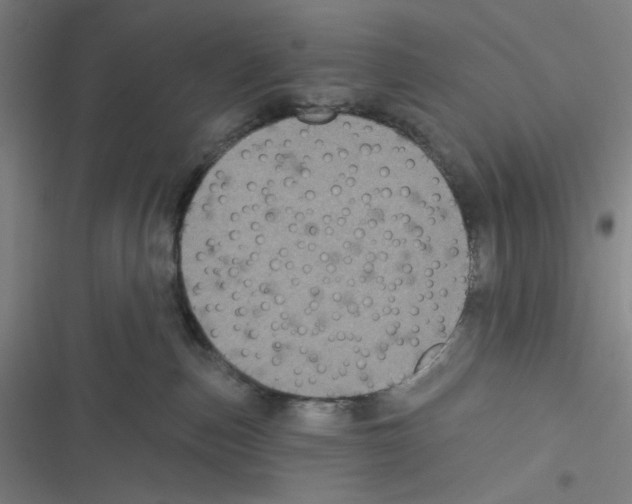 X0000116610187201001081218