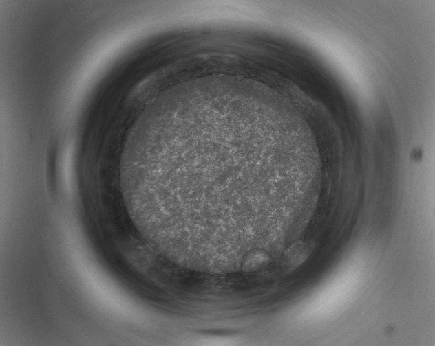 X0000116610189201001081218